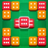 Dice Puzzle